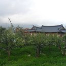 태풍민박 이미지