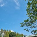 부산시립박물관 | 부산 전시회 시립박물관 특별전 거장의 비밀 셰익스피어부터500년문학과 예술 관람 후기