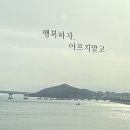 도그민 이미지