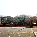 황새울2길 티스토리