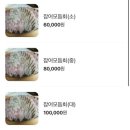 하대막썰어횟집