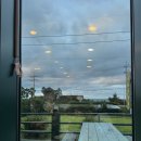 월정항아리갈치구제주해물통 | [제주 함덕 맛집] 내돈내산, 제주 고급 해산물 갈치조림의 끝판왕! &#39;월정항아리갈치&#39;에서 제대로 먹고...