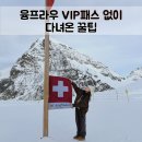 동신약국 | 융프라우 VIP패스 없이 다녀온 현실 후기(꿀팁,알뜰하게 가는 방법)