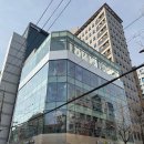 홍익로 5 LG유플러스 앞 | 올리브영 홍대타운 먹는 콜라겐 비비랩 홍대 팝업스토어 후기