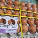혜성축산