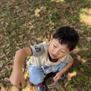 산림바이오소재 연구소, 두 번째 숲놀이 시간🌳 이미지