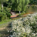 숲속 열린 음악회 with 이현공원 (이무진,윤민수) | [대구 서구 이현공원] 숲속열린음악회 후기_이무진, 윤민수, 앙상블, 이현공원 데이지