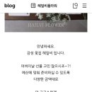 헤일비플라워