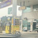 [가평 캠핑] 산으로 간 니모 캠핑장에서 일박이일 봄캠핑 즐기기