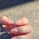 유천버스정류장 | 대전유천동네일 수네일 대전유천점 – 겨울 청순 치크네일 후기 (유천동네일샵 추천)