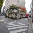 스테파노 일류초밥 이미지
