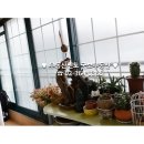 건일공인중개사사무소 이미지