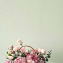 신진목장 이미지