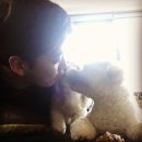 현아농장 이미지