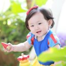 퍼니마트 이미지