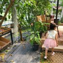 해와달유치원 이미지