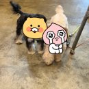 올덴하우스 | 다시는 가고싶지않은 올덴 글램핑