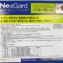 까치산메가약국 이미지