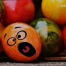 송암노인요양원 이미지