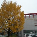 성주군보건소(건강증진센터) 이미지