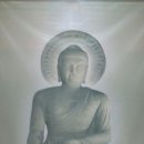 나반 이미지
