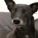 funny 이미지