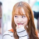 더드림자원