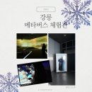 인더스스포츠 | 강릉 메타버스체험관 - 온라인현장예약 실내데이트 아이들과가볼만한곳 강릉여행추천