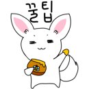 봉포불주꾸미 이미지