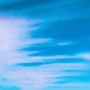 Where the Crawdads Sing 이미지