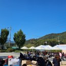 감문초등학교 이미지