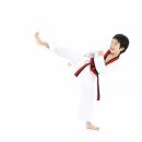 한국체대 중앙태권도 이미지