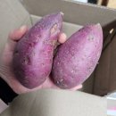 베니마켓