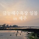 도희네 농장 이미지