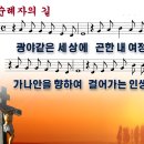 순례자의 길 (2023년 4월9일, 주보15) 이미지