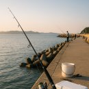 방파제낚시 이미지