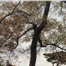 사랑나무의원 | 전주한복대여 사랑나무한복 우리동네에서도 입소문 난 사랑나무한복, 세심한 서비스와 편안한 한복 체험...