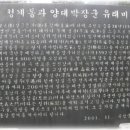 양대박 네이버블로그