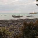 최남단글램핑 이미지