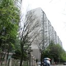 서구-01-55 이미지