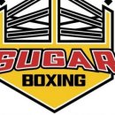 슈가복싱 이미지