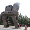 트로이온 이미지