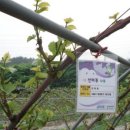 박사골한우 이미지