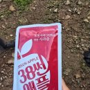 포천사과영농조합법인 | 2025.5.17.(토) 경기사랑봉사회 포천 사과농가돕기 자원봉사 포천자원봉사센터 ‘행복드림 농촌봉사단...