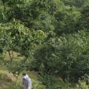 차령농장 이미지