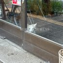 성환역앞도로 이미지