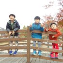 광암아리수정수센터 이미지