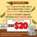 쿱케이팝 | [시드니] 페더데일 동물원&amp;블루마운틴(세자매봉&amp;링컨스락)&amp;별_투어 추천 후기(호주무한투어/마이리얼트립)