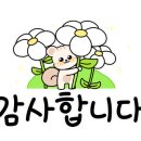 태흥공인중개사사무소 네이버블로그