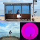 버스정류장 옆 | 강원도 강릉 가볼만한 곳 BEST3 | 아르떼뮤지엄 할인 소요시간+도깨비촬영지+BTS버스정류장 후기